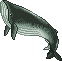 Elin Fish Sprite Whale.png