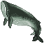 Elin Fish Sprite Whale.png