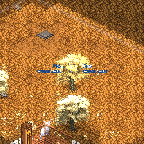 Small Medal Eternity Cherry.png