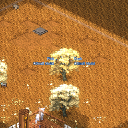 Small Medal Eternity Cherry.png