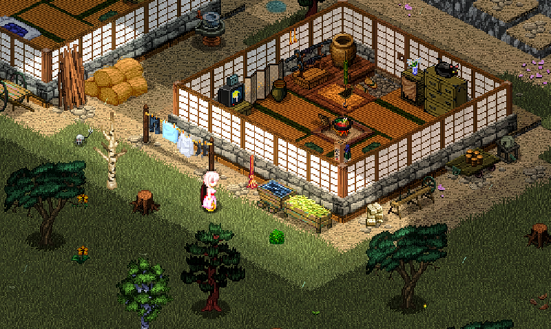 File:South, behind the house, next to the broom.png