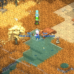 Small Medal Eternity Pond.png