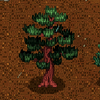 Tree pine mature.png