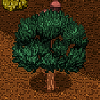 Tree mahogany mature variant.png