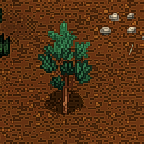 Tree mahogany sapling.png