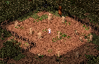 In the center of the northern portion of the graveyard.png