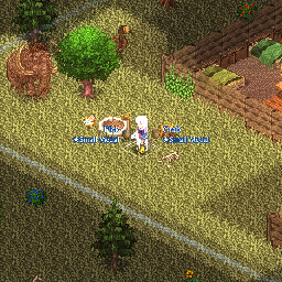 Small Medal Doga Well.png