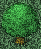 Elin Object Tree Mushroom.png