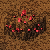 Wall gem ore rubynus.png