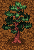 Elin Object Tree Pine.png