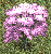Elin Object Tree Cherryblossom.png