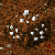 Wall gem ore silver.png