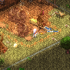 Small Medal Doga Watertank.png